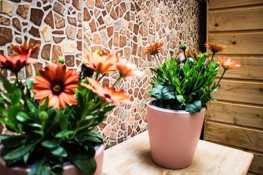 Apartamento Venus Apartman Ronda Kültér fotó